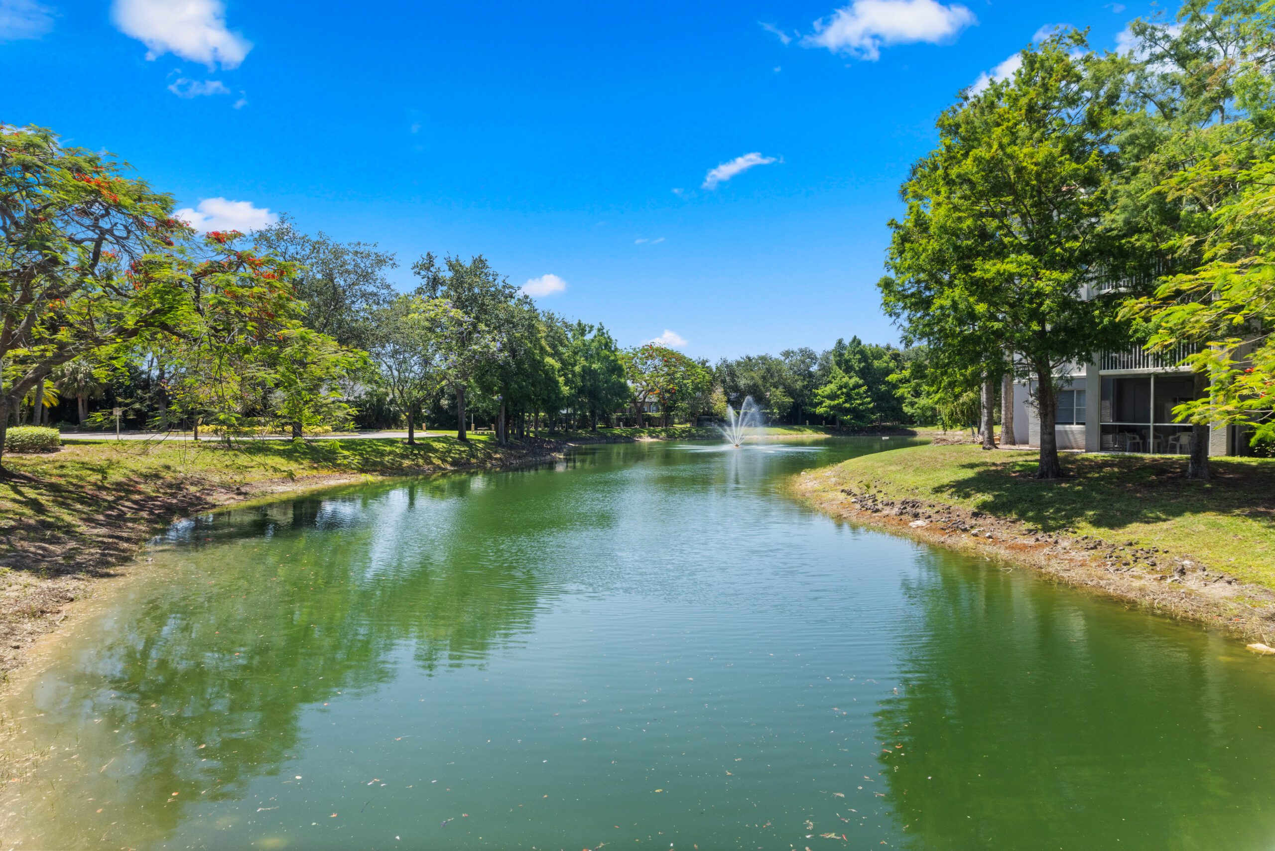lagoon