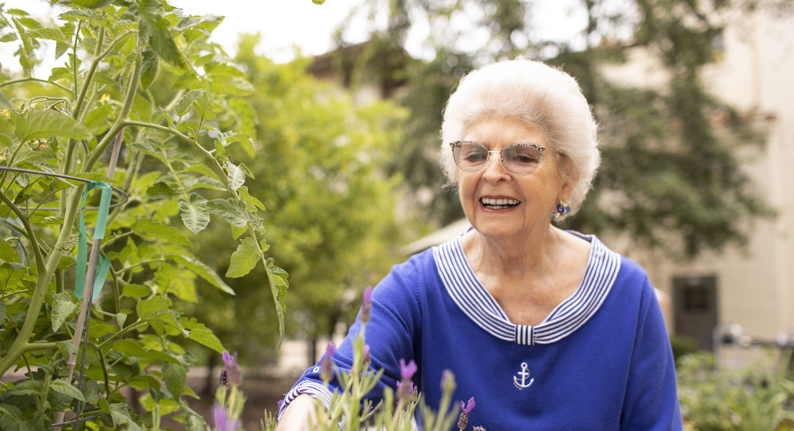 senior gardening