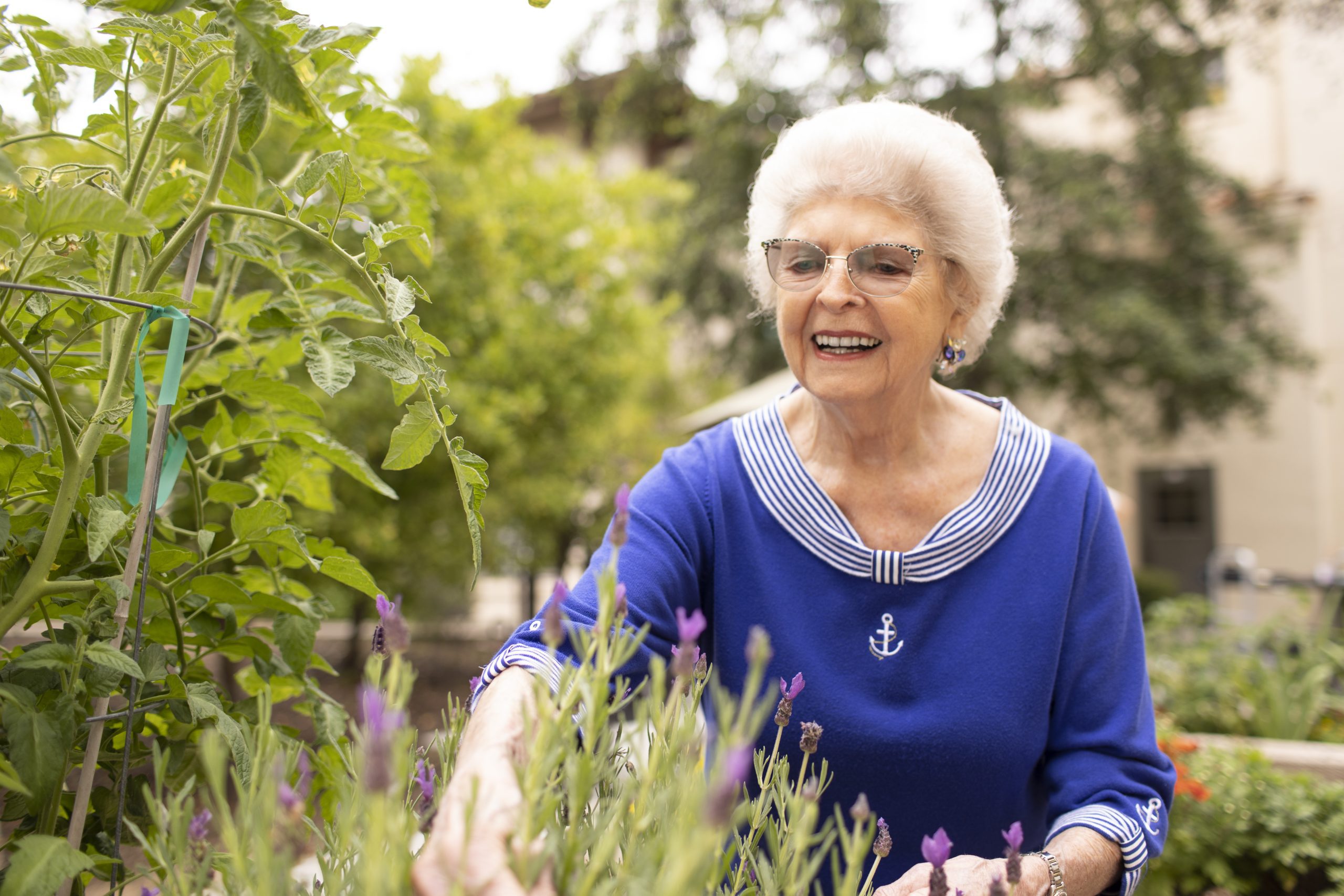an active elderly woman gardening while wearing a vibrant blue dress