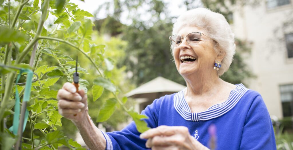 Senior woman in the garden trimming plants