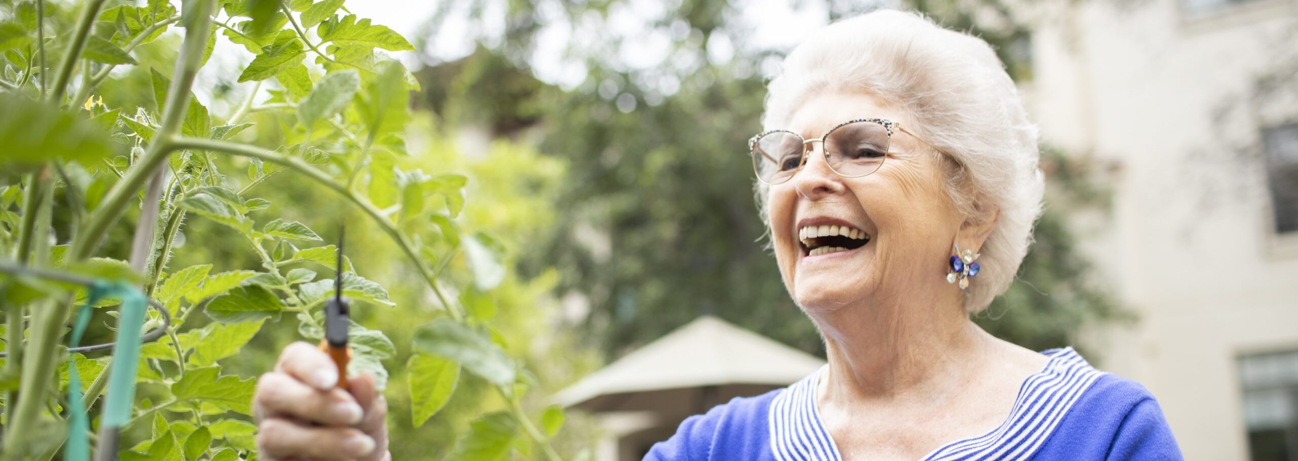active elderly woman gardening while wearing a vibrant blue dress