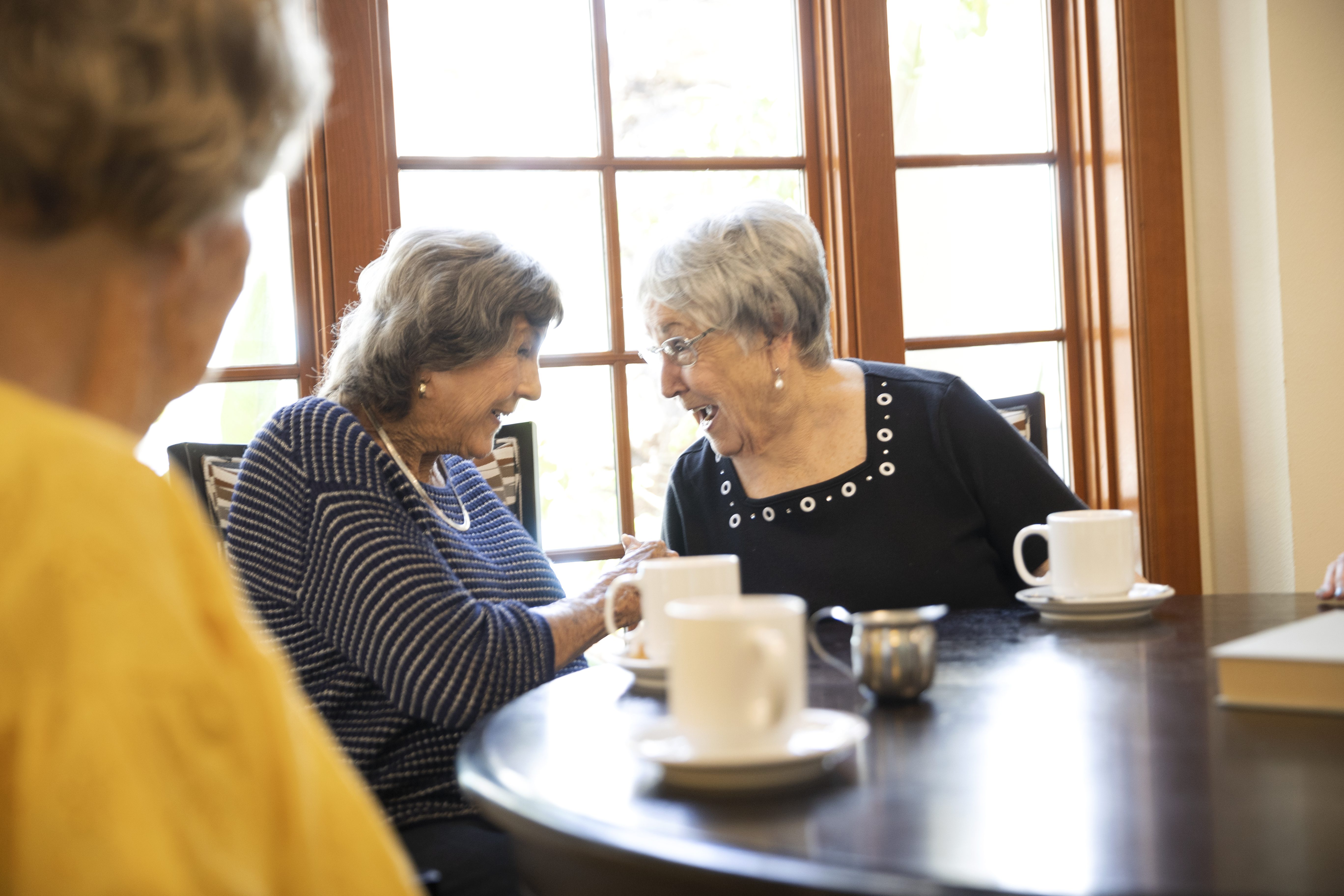 senior ladies having coffee senior ladies having coffee