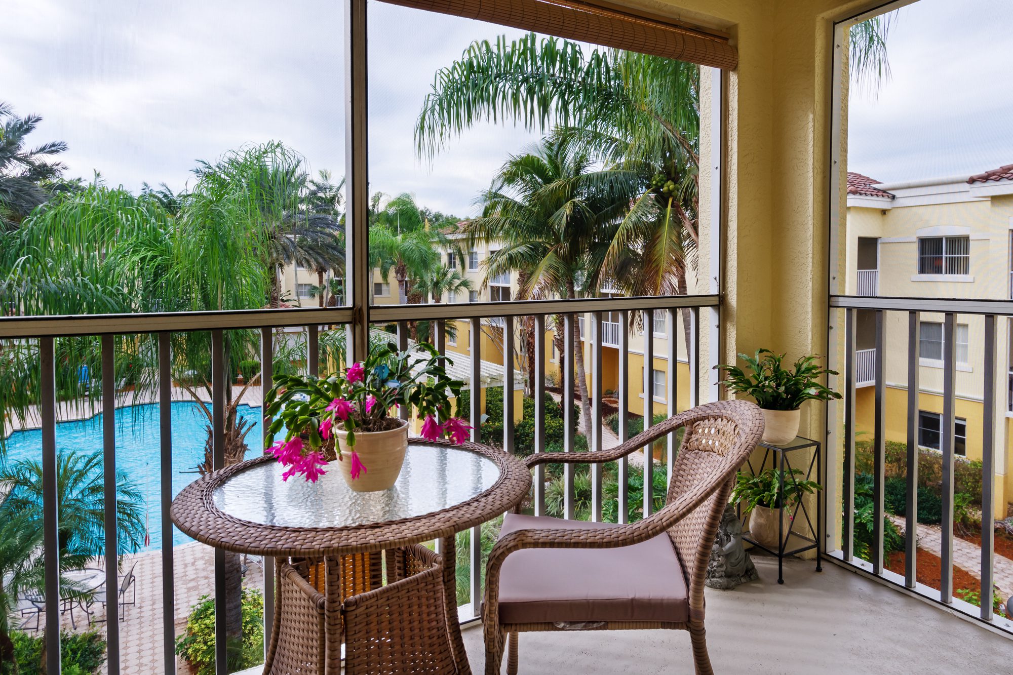 Beautiful patio overlooking the pool