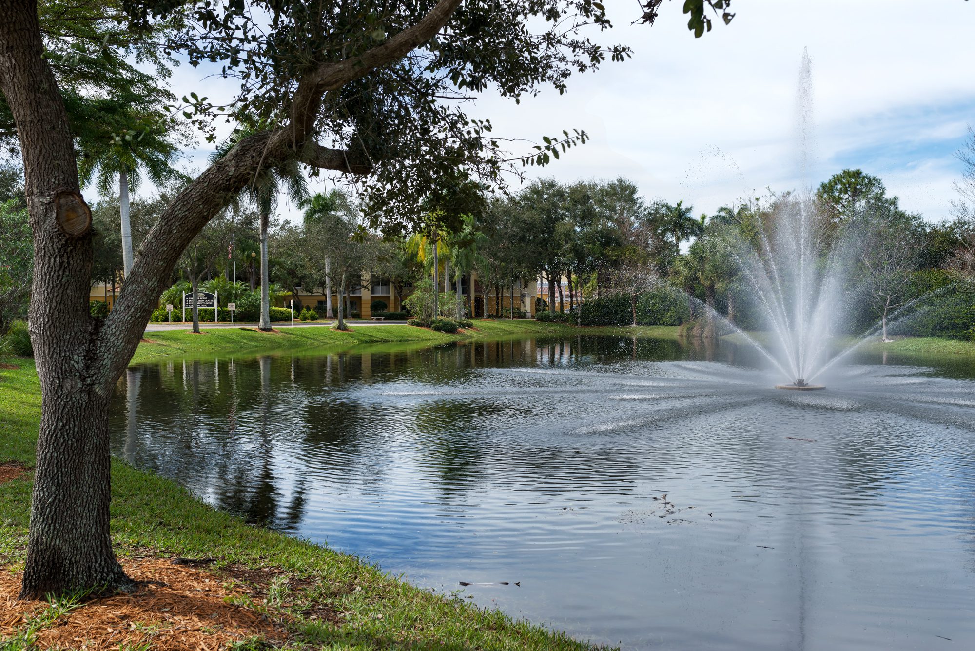 beautiful fountain and courtyard at the carlisle naples