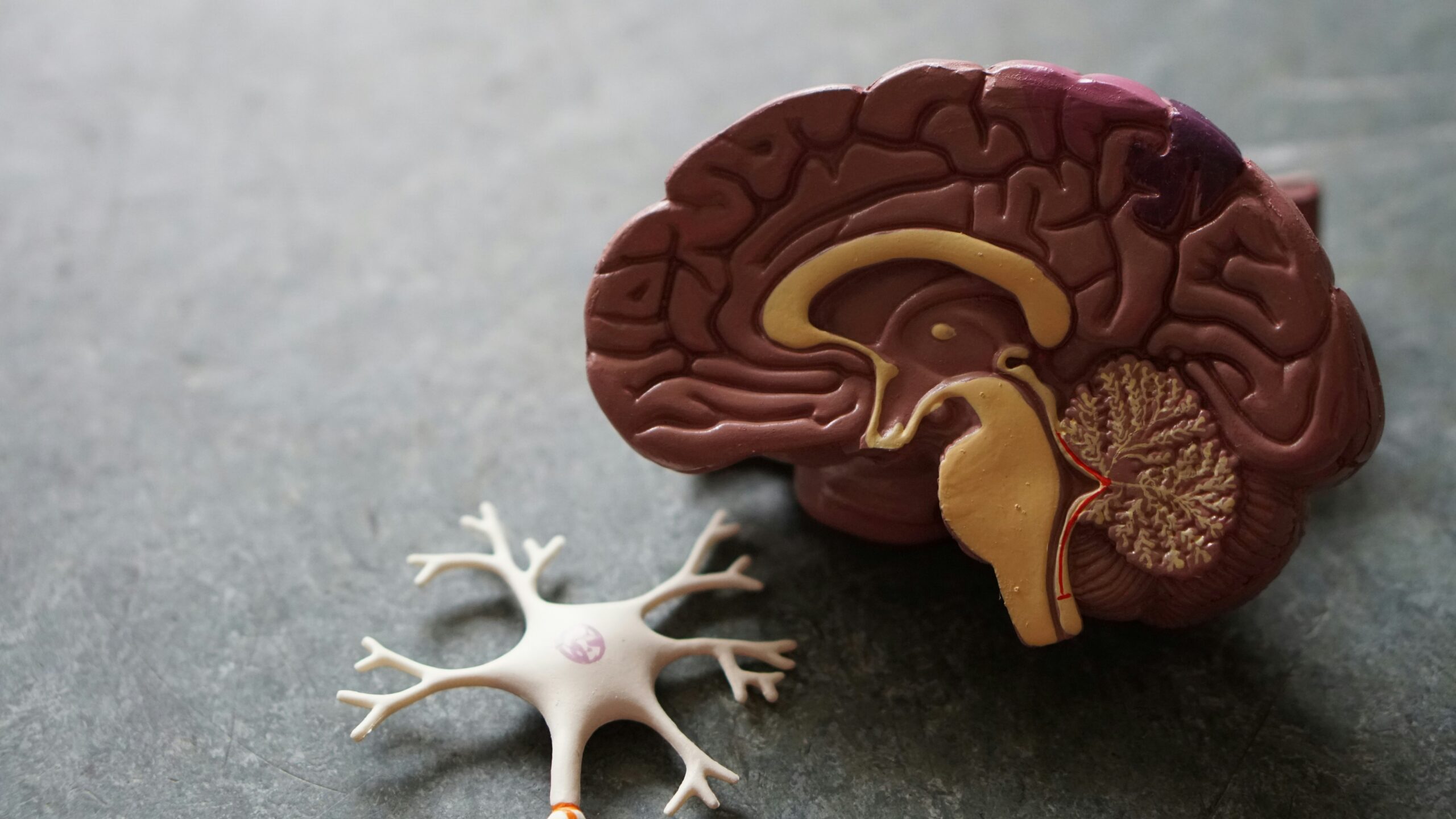 Signs & Symptoms of Dementia Signs & Symptoms of Dementia