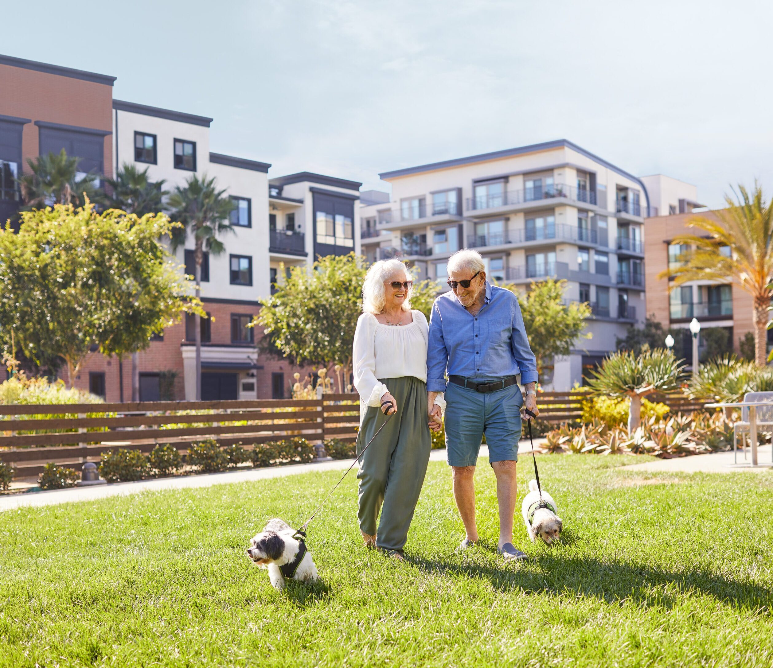 Senior couple walking their dogs