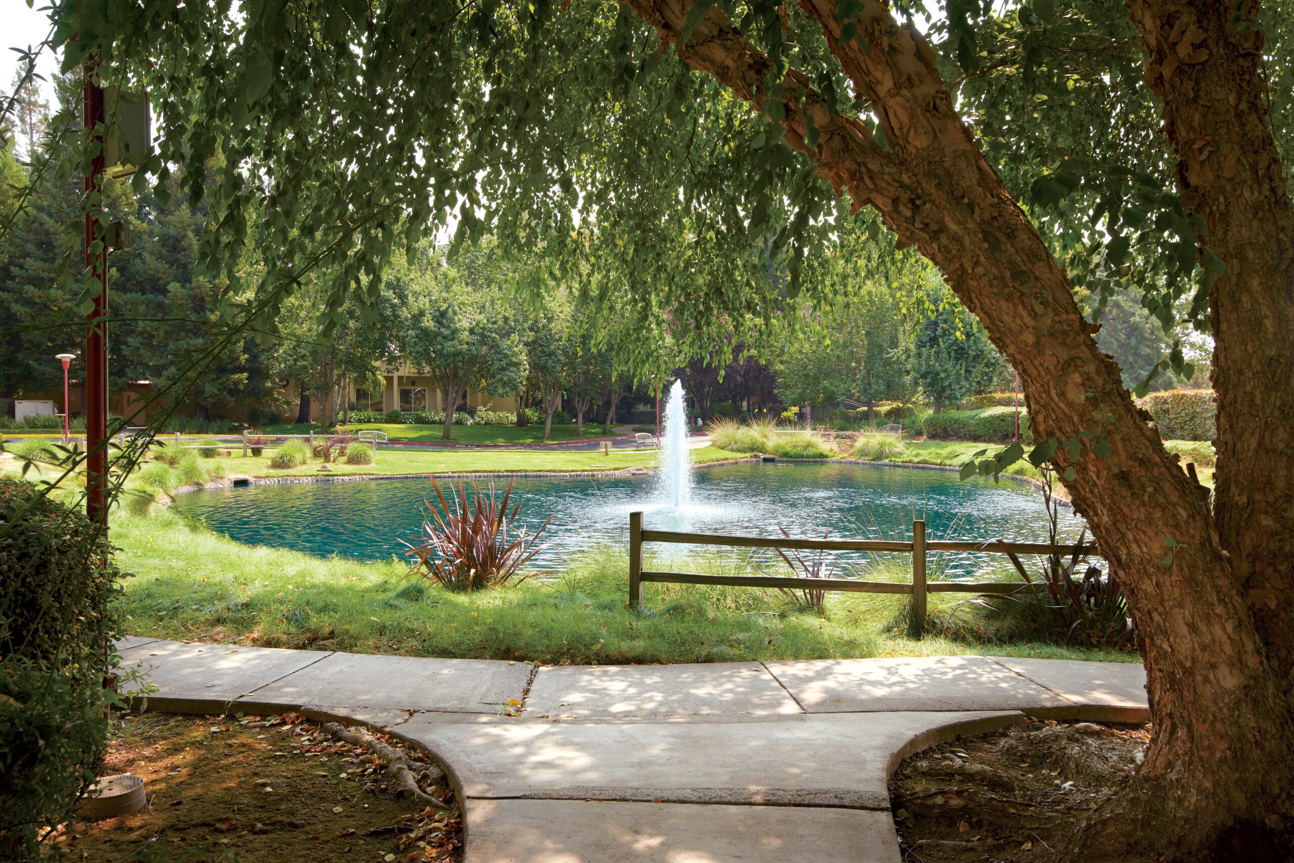 Exterior courtyard with lush grass and a beautiful fountain