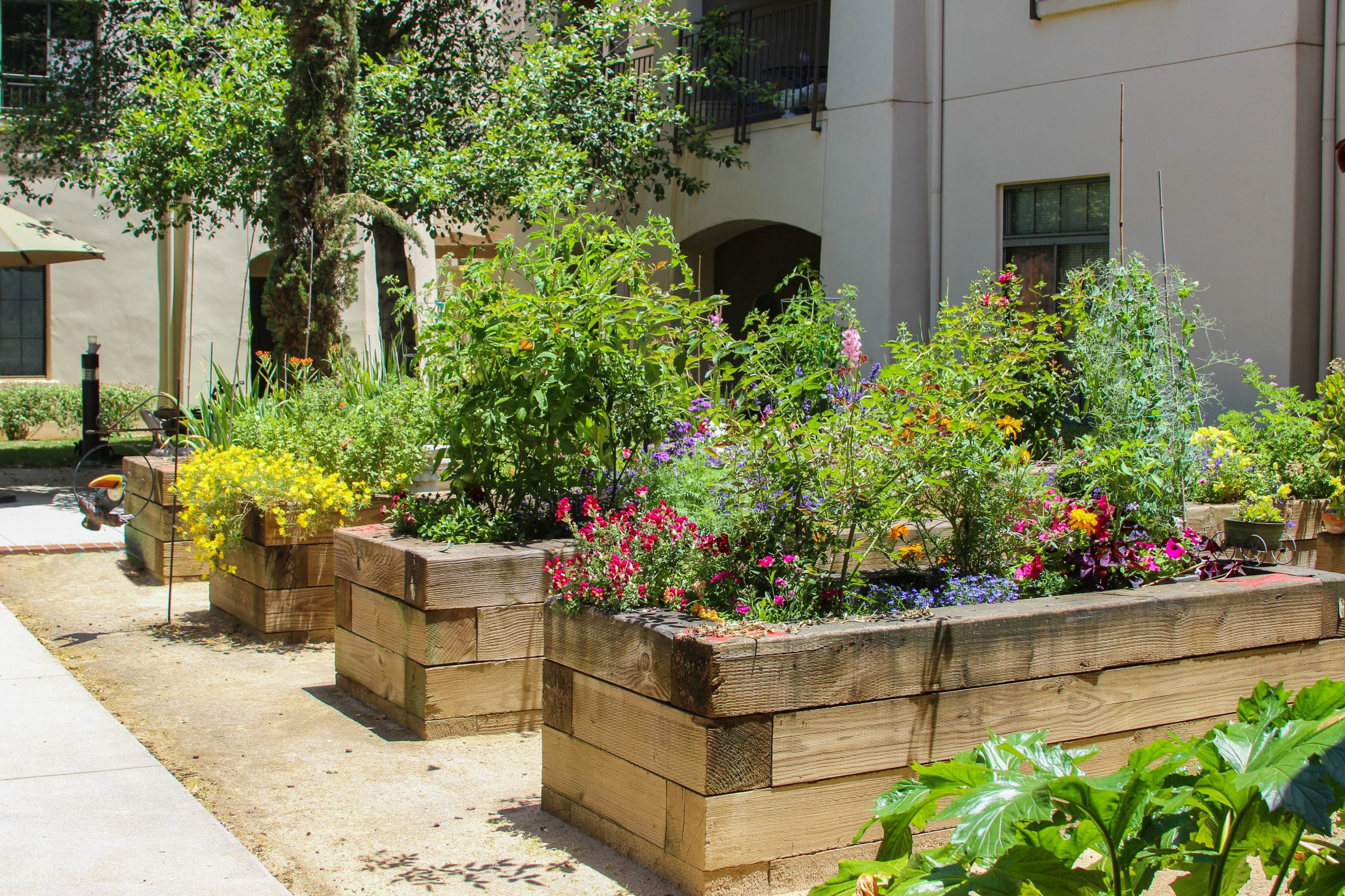 Community Garden