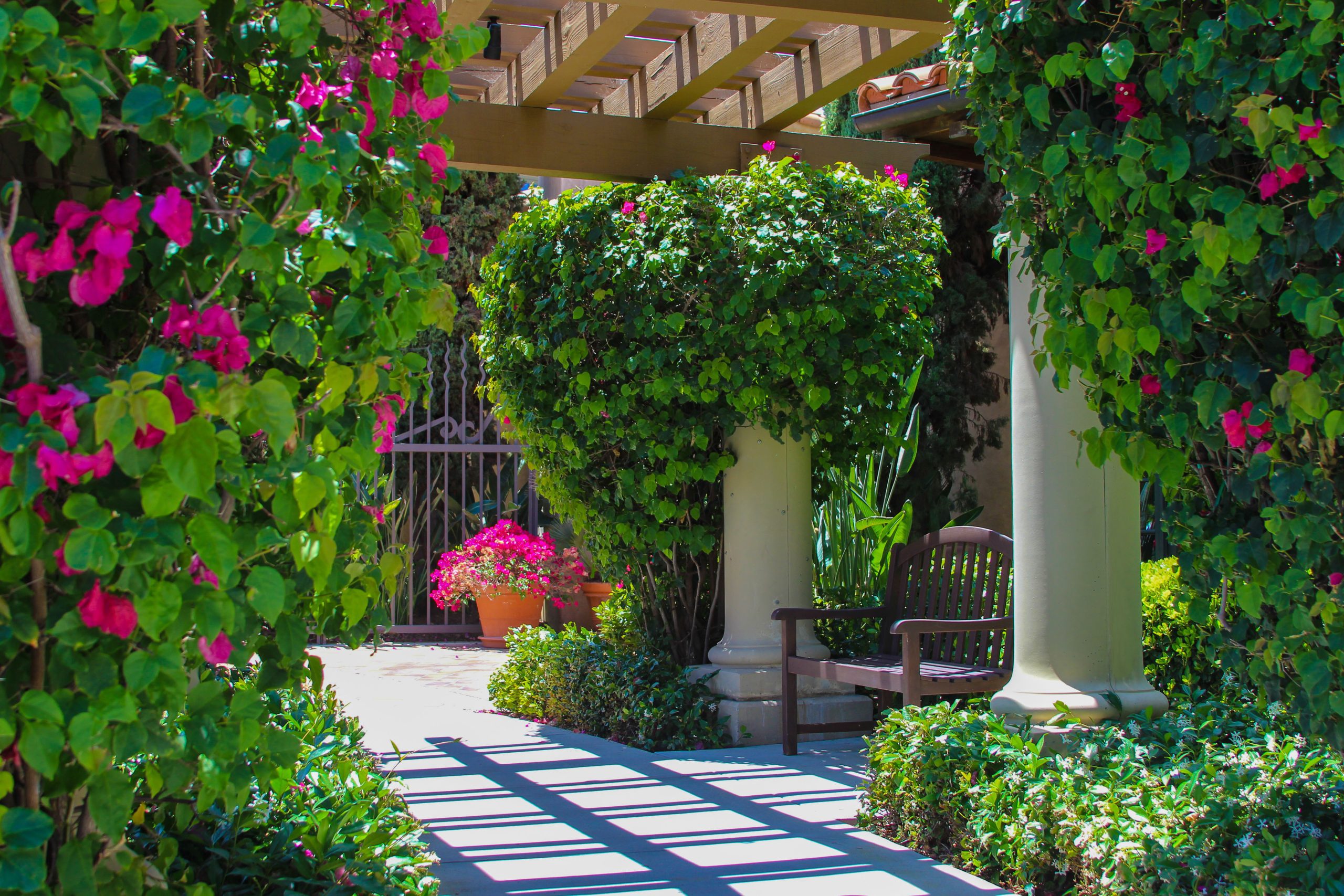 luscious courtyard inviting with a lot of plants and bushes