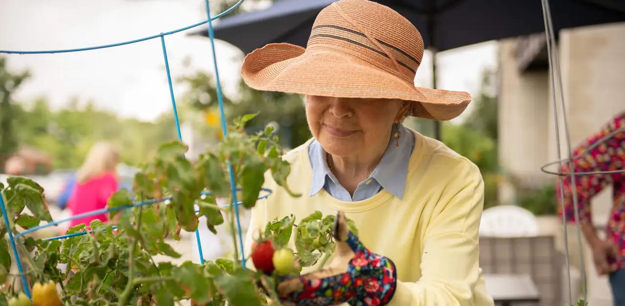 senior woman gardening