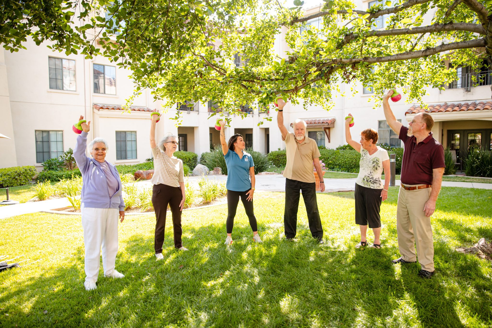 Five elderly people doing exercises outside next to a tree