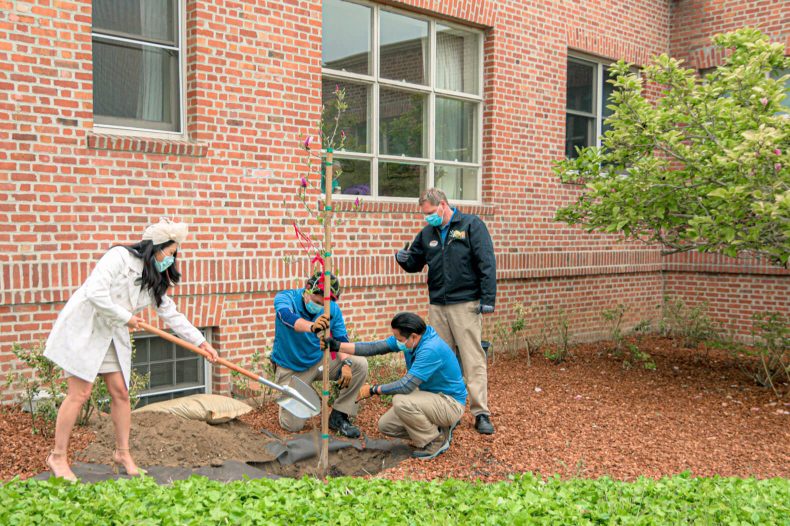 A group of people planting a tree outside a building.