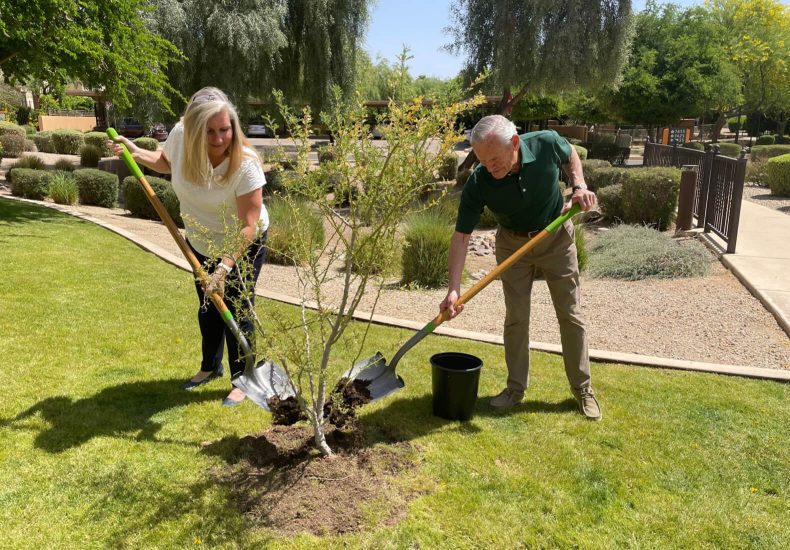 Two individuals planting a tree in a serene park, contributing to the environment's well-being.