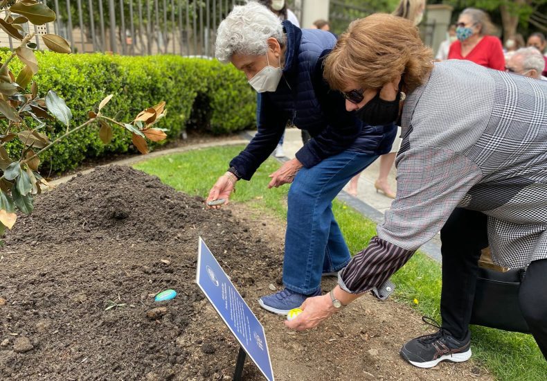 Two individuals planting a tree in a garden, working together to nurture nature's growth.