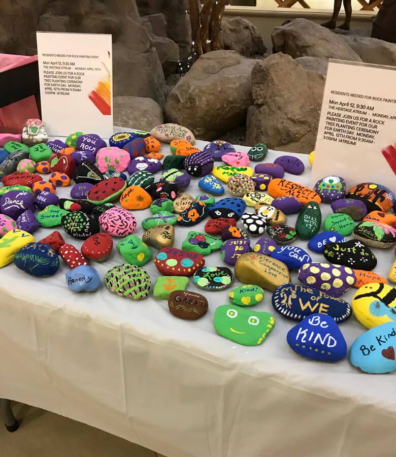 Collection of Earth Day Rocks for Earth Day Event