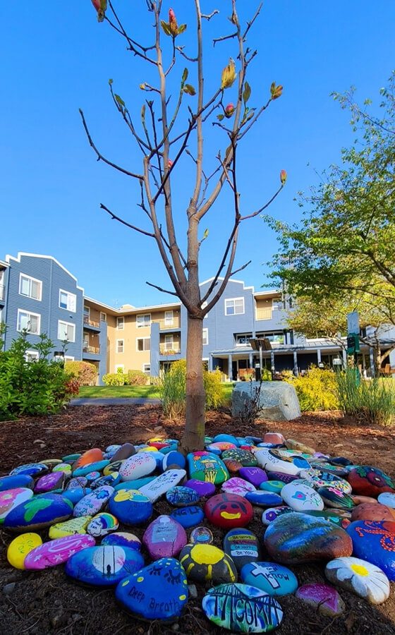 A vibrant rock garden enhances the beauty of a building.