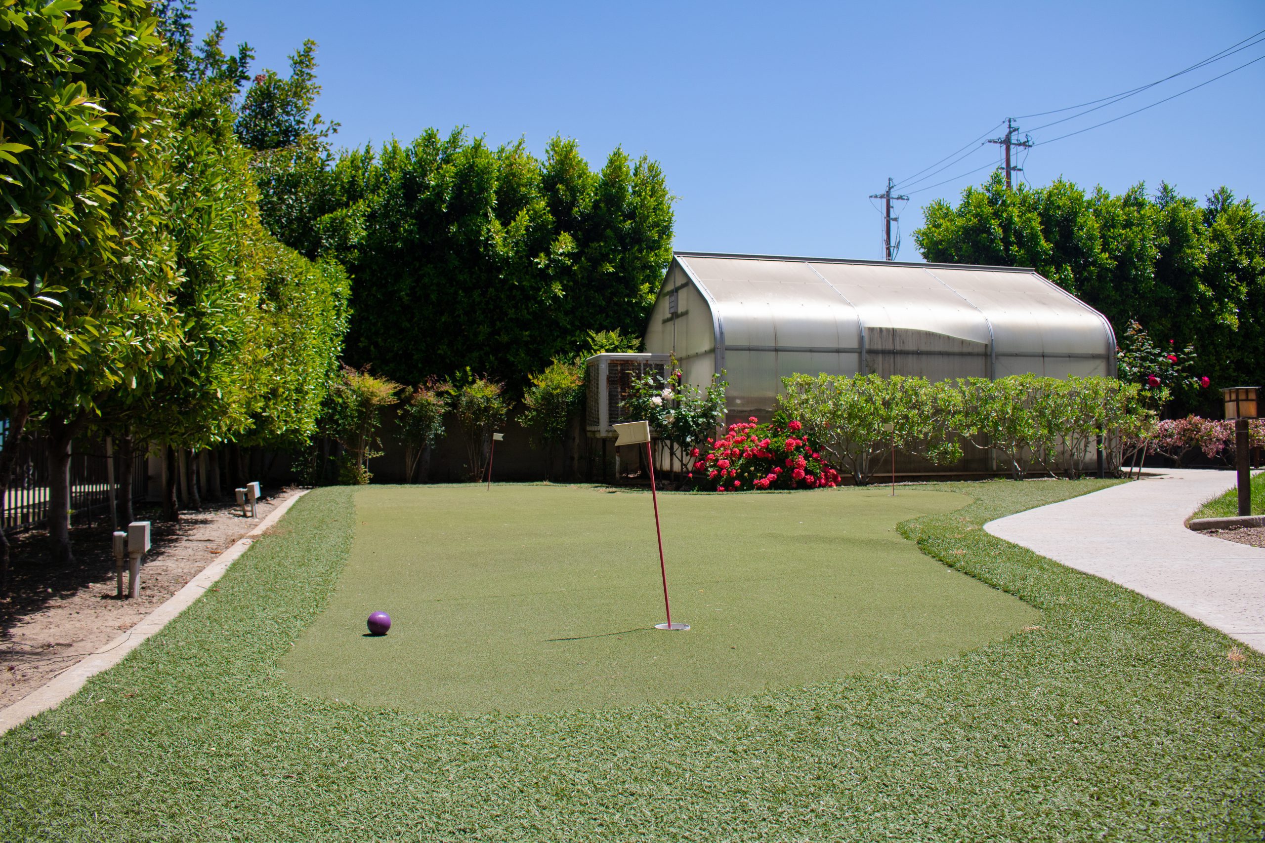 A well-manicured green putting green, perfect for practicing golf shots.