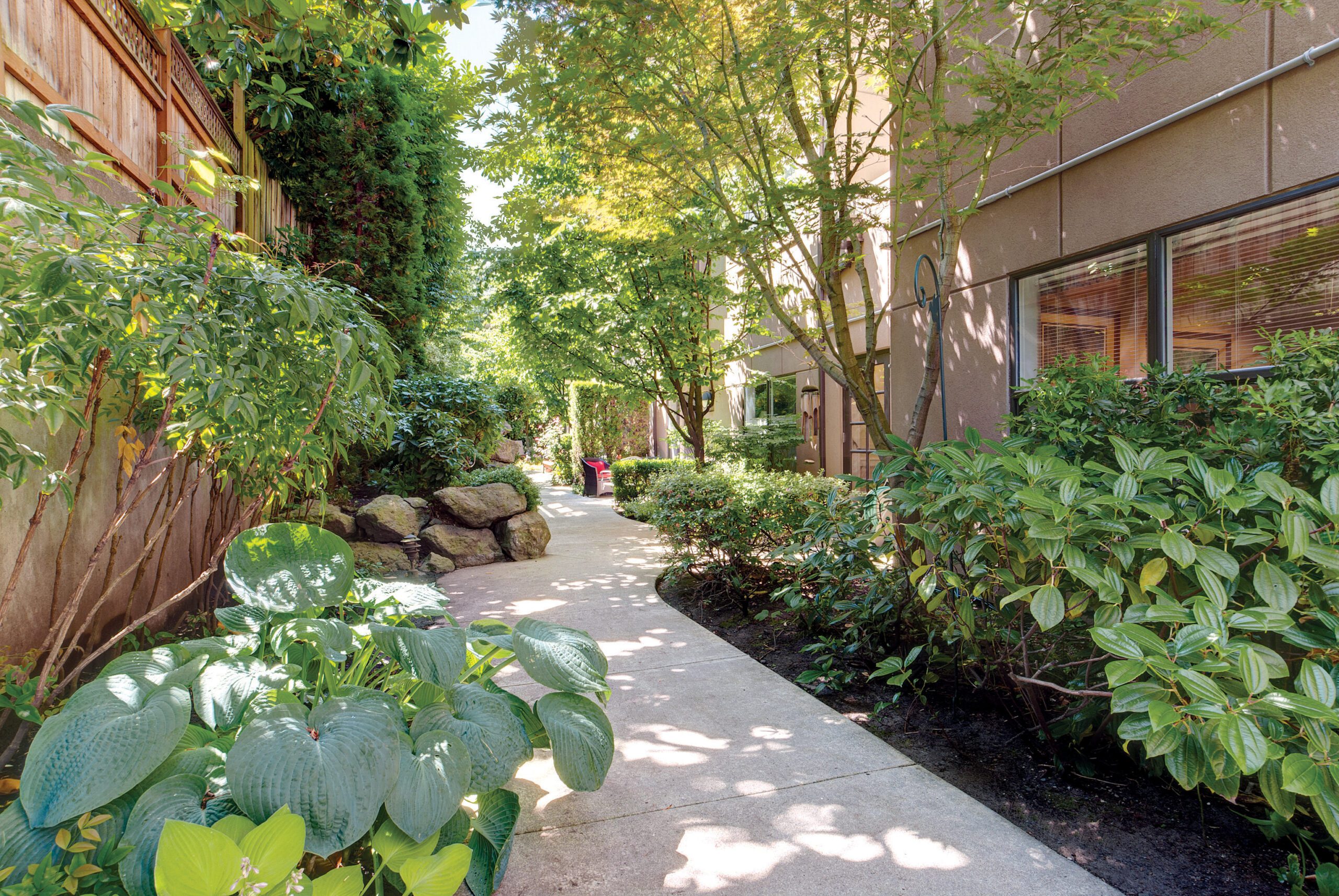 A serene residential walkway adorned with lush plants and trees, creating a tranquil atmosphere.