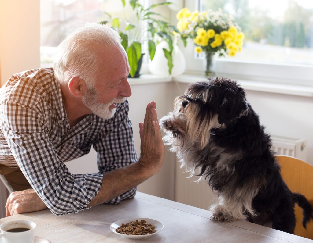 senior man giving a high five to a dog