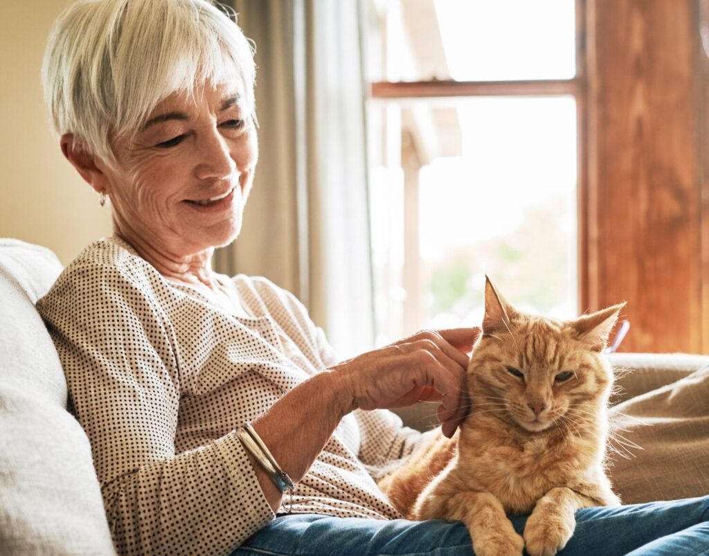 woman holding orange cat