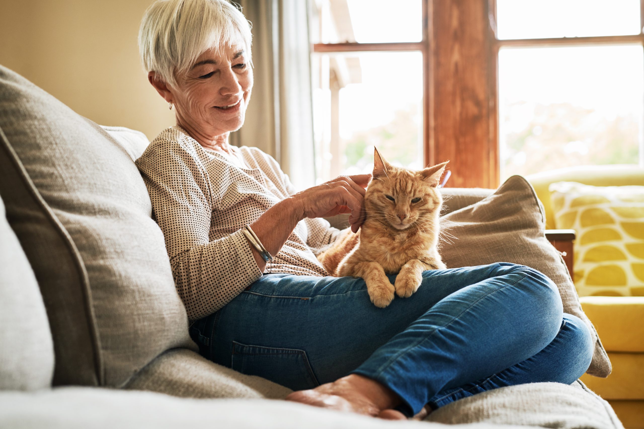 woman holding orange cat