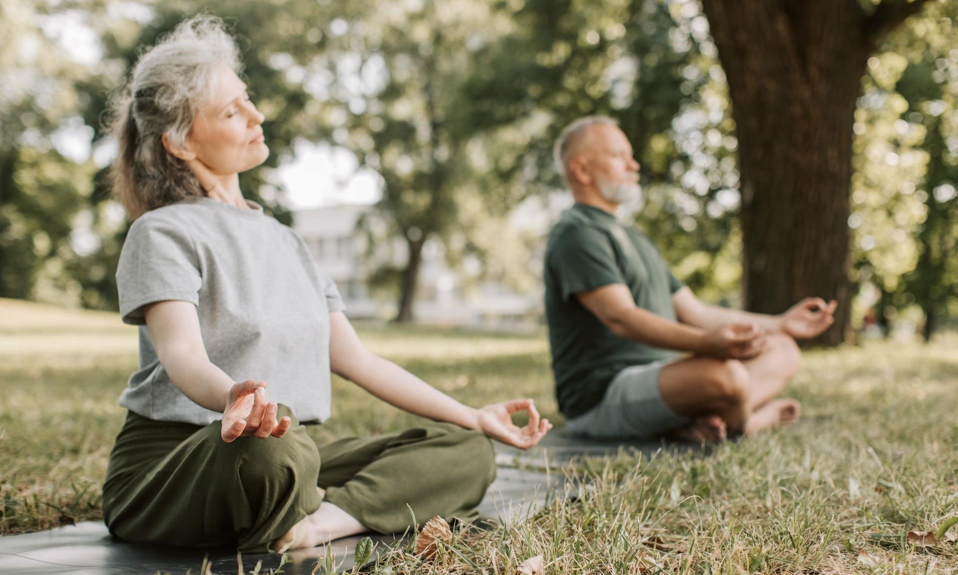 2 elderly people sitting next to each other under a tree meditating