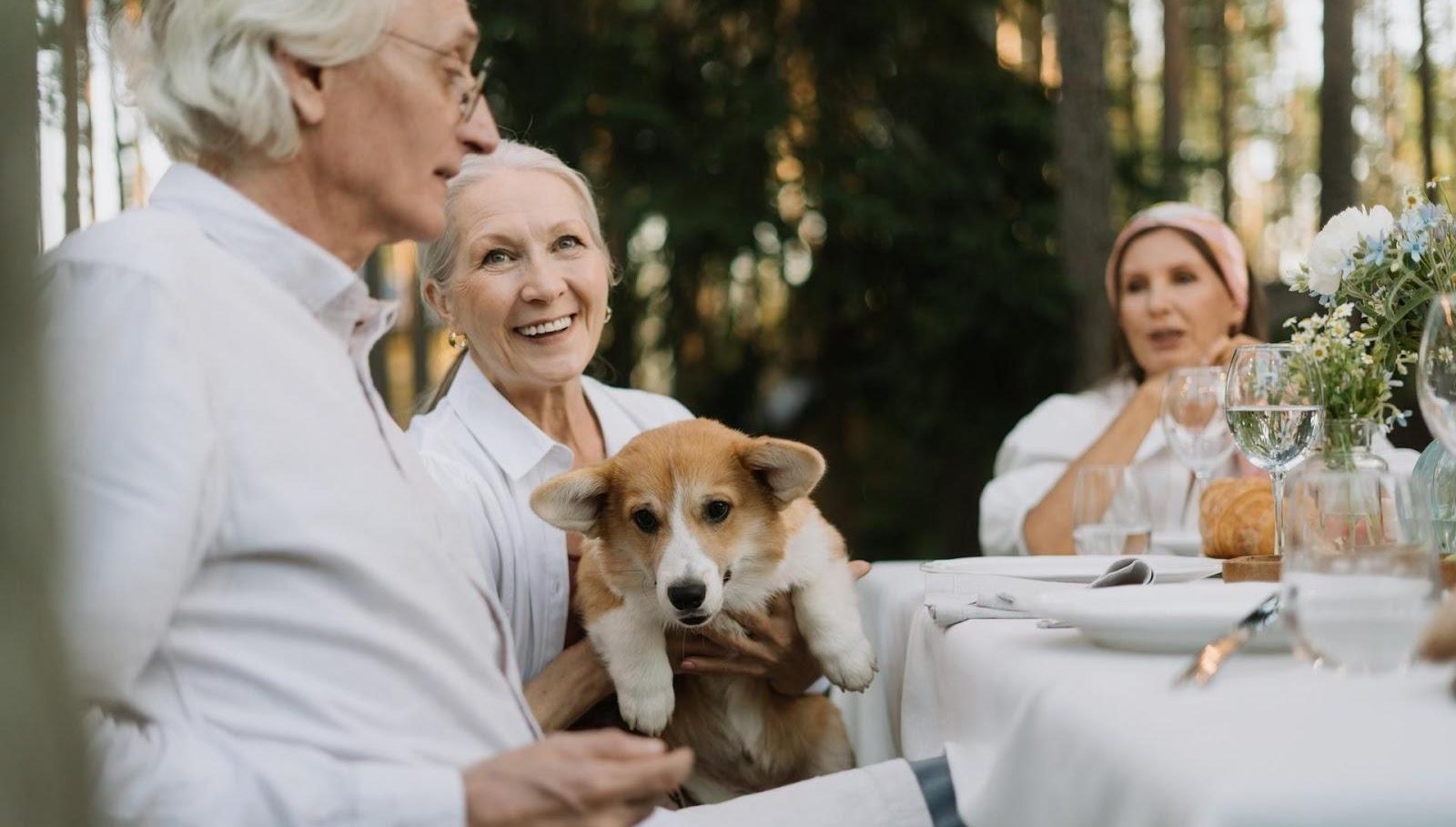 three elderly pepople wearing white and haiving a conversation over dinner