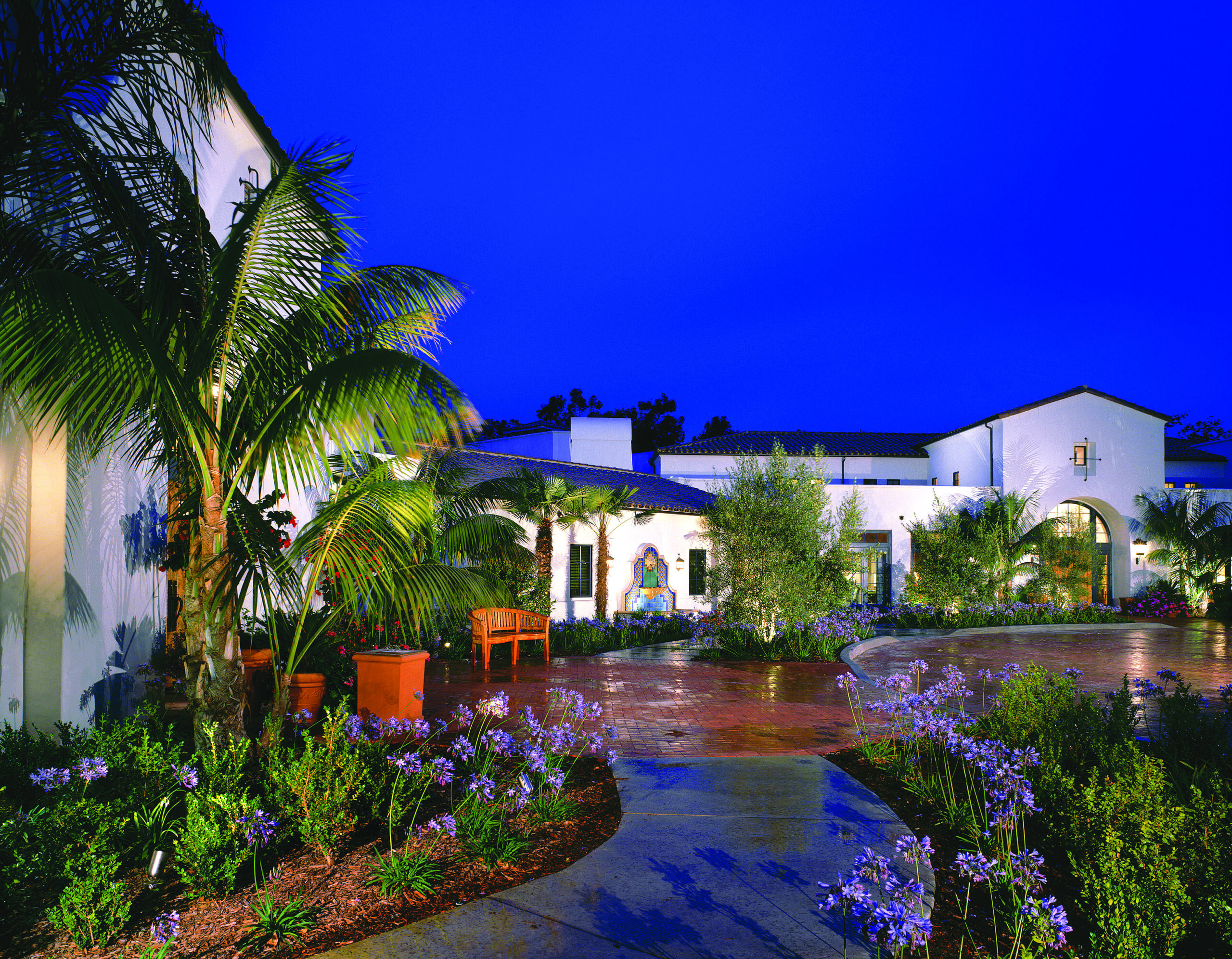 A serene courtyard adorned with palm trees and a beautiful fountain, creating a tranquil ambiance.