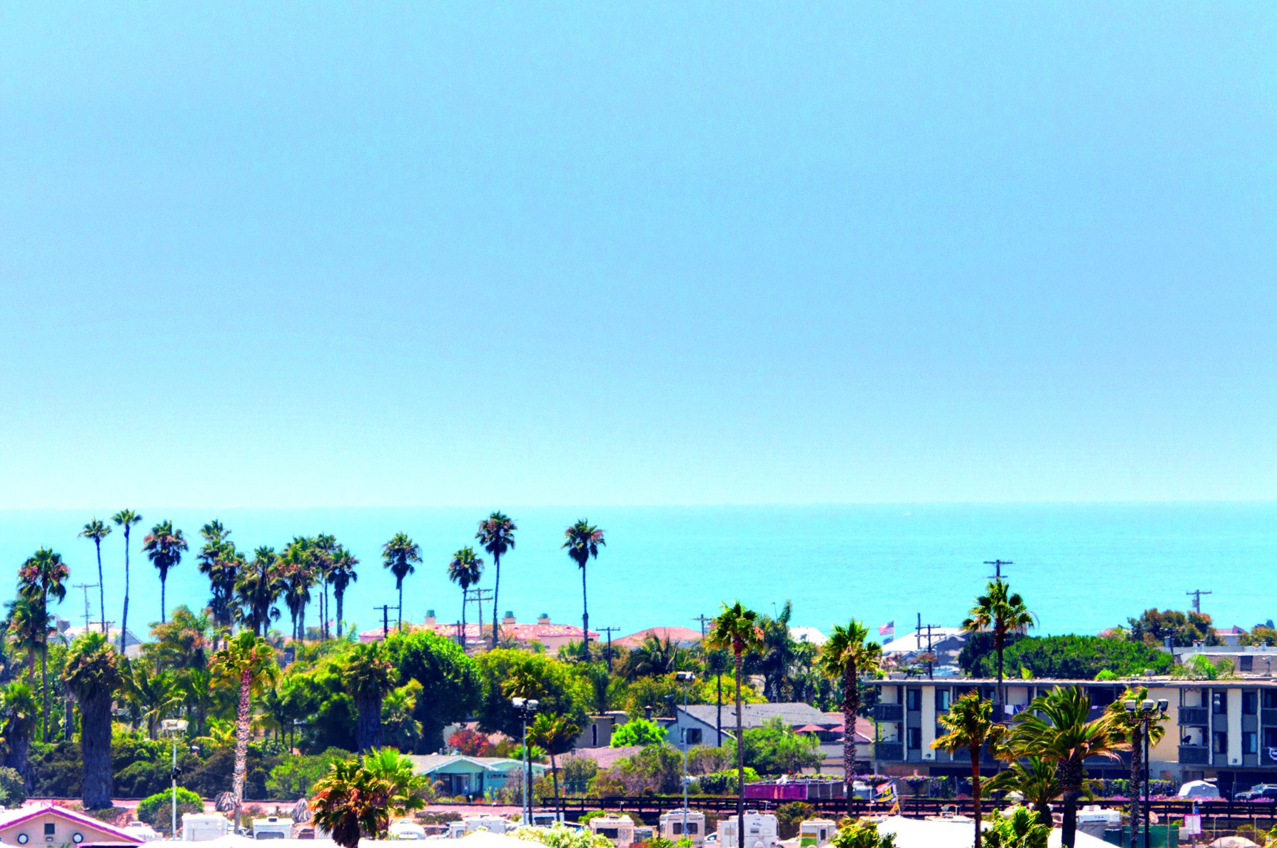 beach view with palm trees