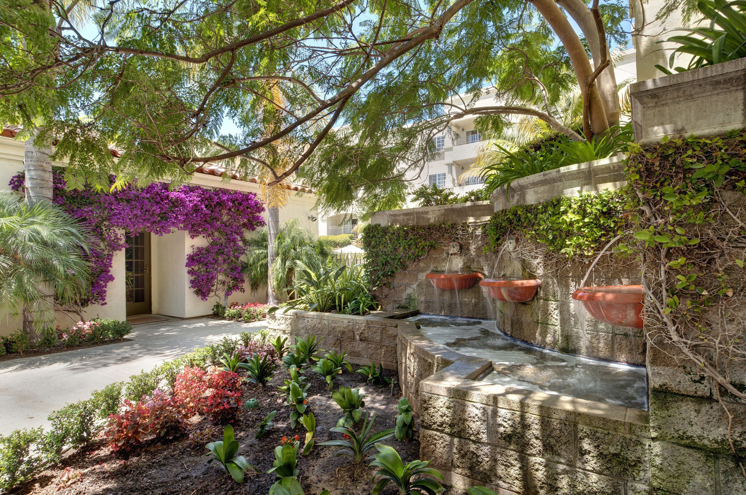 A serene courtyard adorned with a beautiful fountain and lush green plants, creating a tranquil atmosphere.