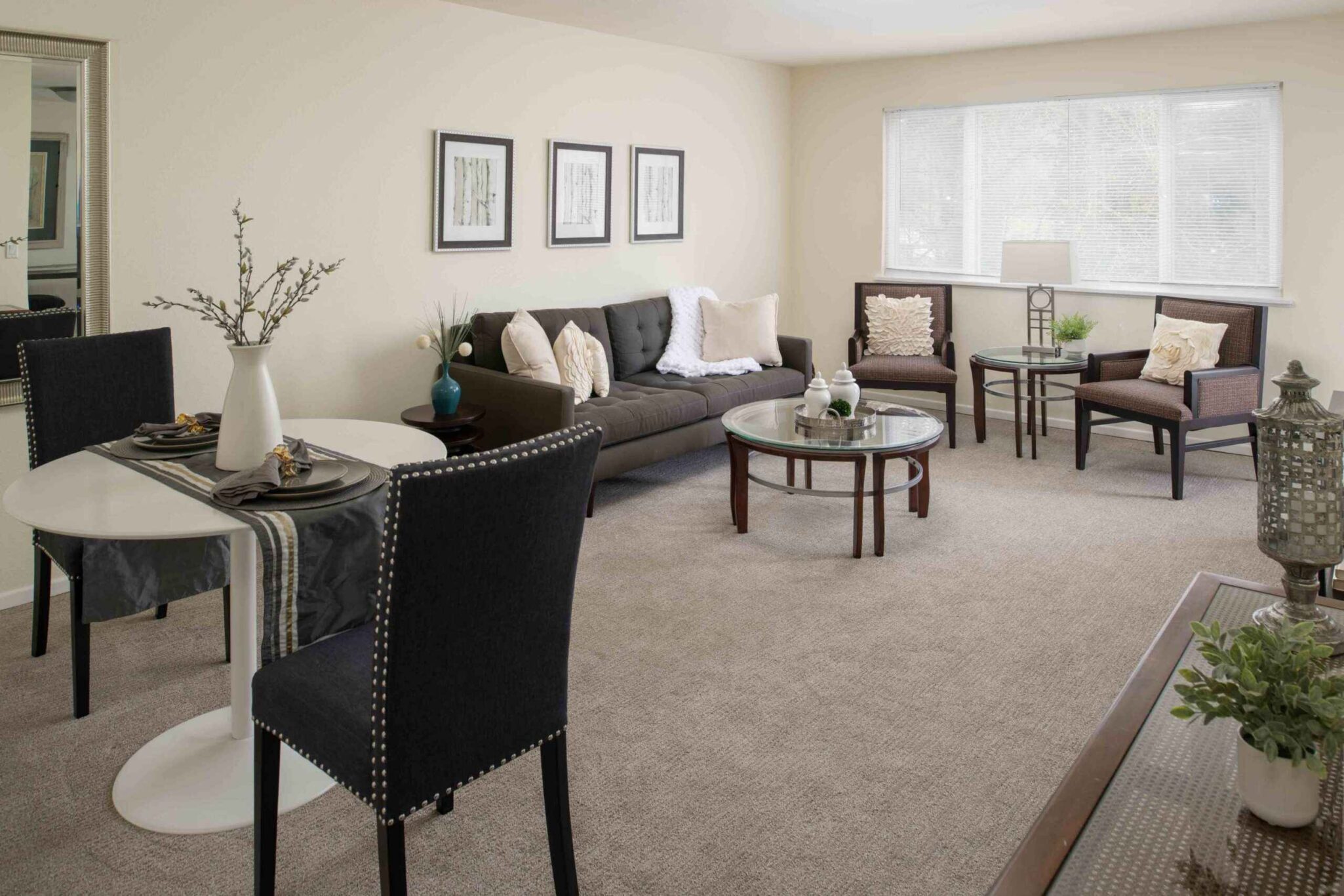 Modern senior living apartment with elegant living room furnishings in the USA